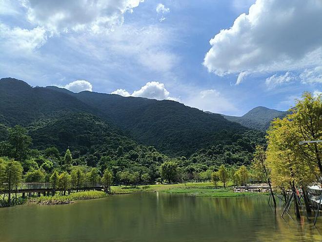 上海取消普通住房与非普通住房标准：新时代的住房政策变革